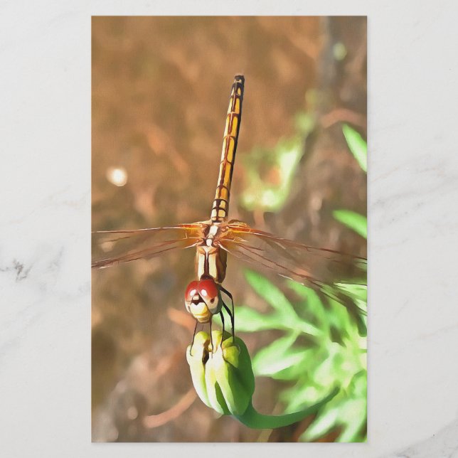 Papelaria Dragonfly Artística Descendo Na Cabeça Da Flor (Frente)