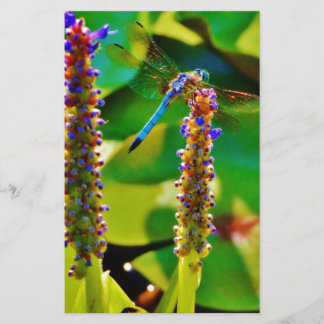 Papelaria Dragonfly azul e flores
