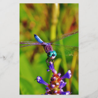 Papelaria Dragonfly e flor