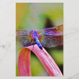 Papelaria Dragonfly Rosa Brilhante Brilhante