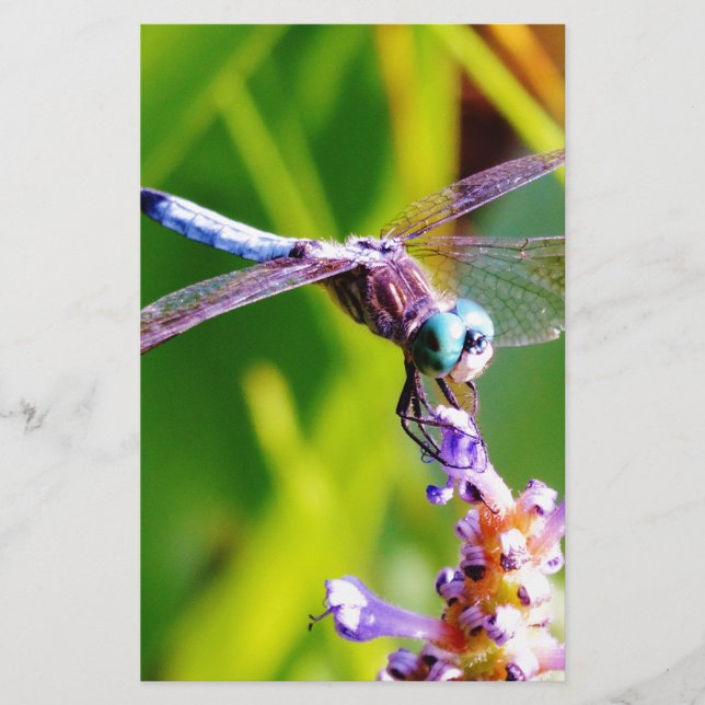 Papelaria Dragonfly Teal & Purple (Frente)