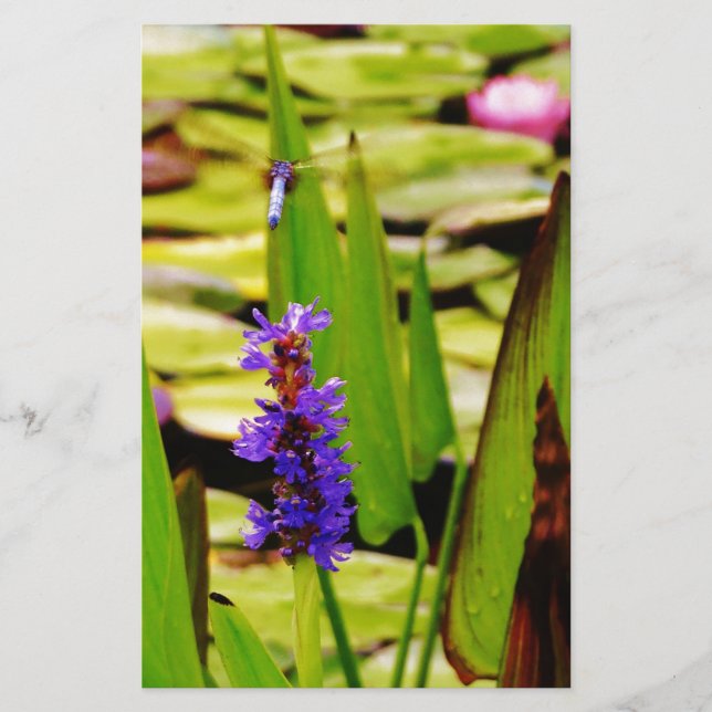 Papelaria Dragonfly Voadora (Frente)