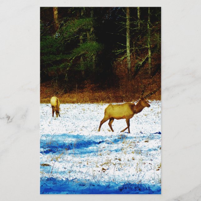 PAPELARIA DSC00131.JPG (Frente)