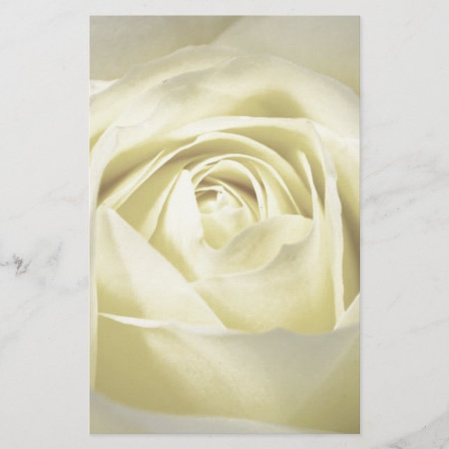Papelaria Elegante Cream Rosa (Frente)
