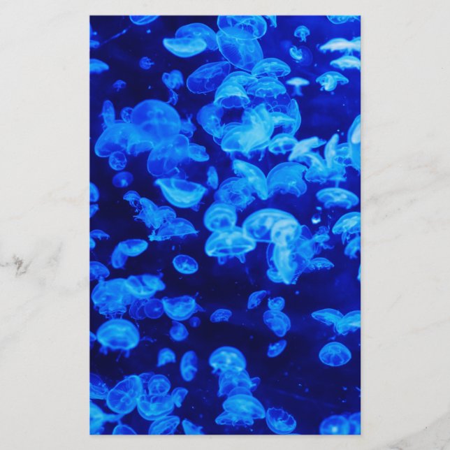 Papelaria Enxame de medusa (Frente)