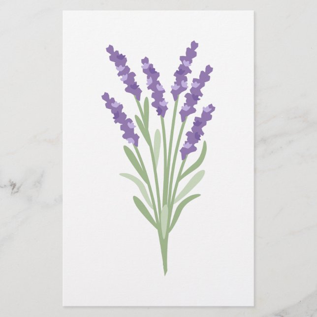 Papelaria Erva da lavanda (Frente)
