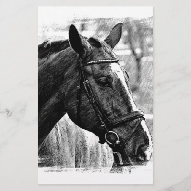 Papelaria Esboço de cavalo preto e branco (Frente)