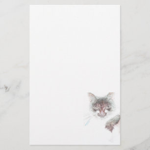 Papelaria Esboço de Rosto de Gata Fofa e Zangada
