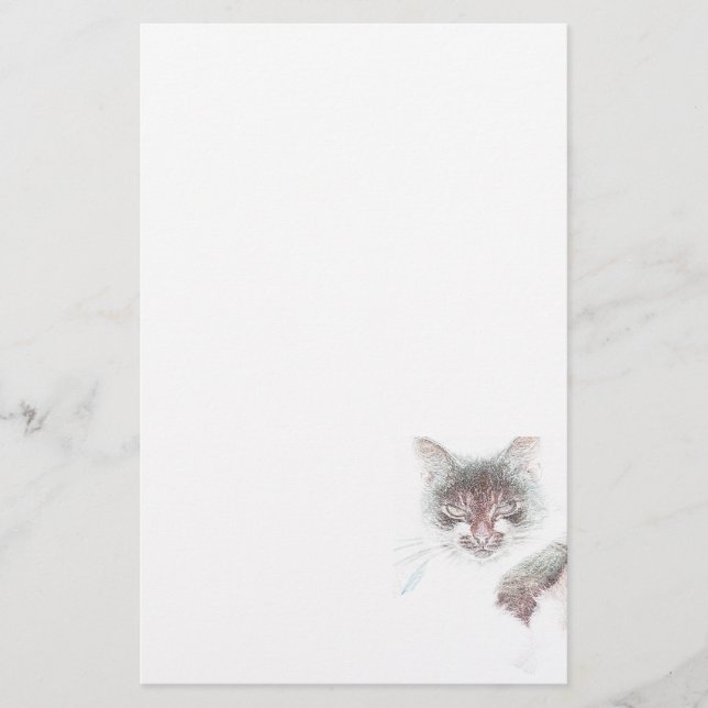 Papelaria Esboço de Rosto de Gata Fofa e Zangada (Frente)