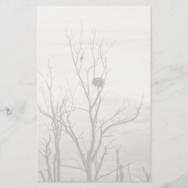 Papelaria Esperando a vida (Frente)