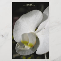 Espião Personalizado Orquídea Branca da Seda