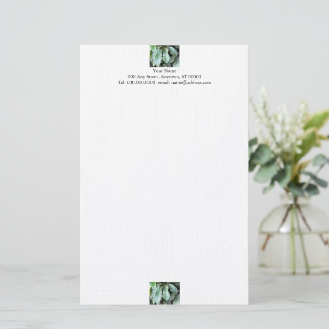 Papelaria Estação Jardim (Em pé/Frente)