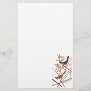 Papelaria Estamenha do Towee de Audubon
