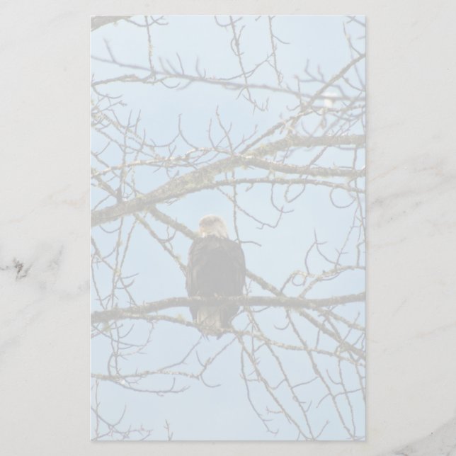 Papelaria Estou te observando (Frente)