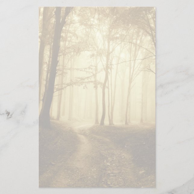 Papelaria Estrada em uma floresta escura com neblina (Frente)