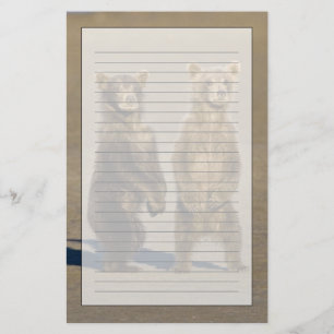 Papelaria EUA. Alasca. Filhotes de Urso Pardo Costeiro