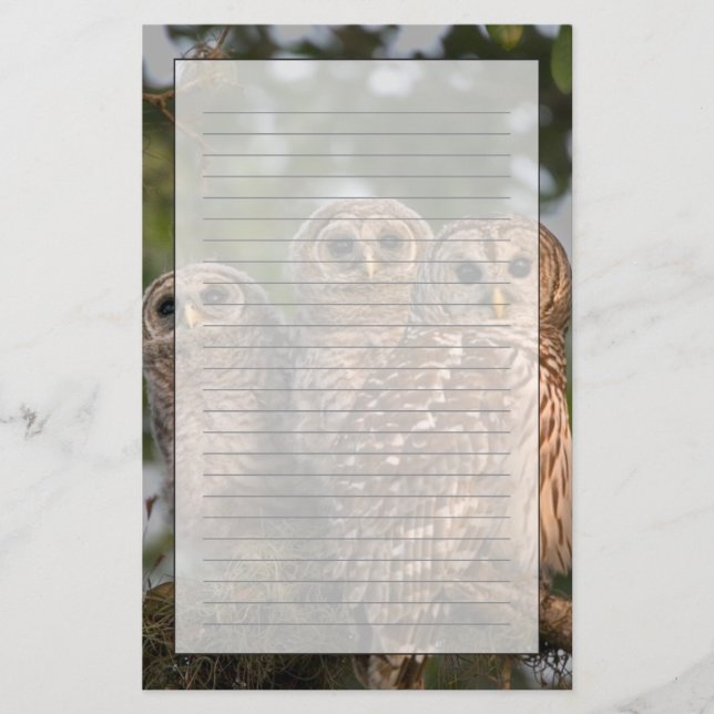 Papelaria EUA, Florida, Viera Wetlands. Três barrado (Frente)