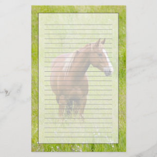 Papelaria EUA, Washington, Cavalo em Campo de Primavera,