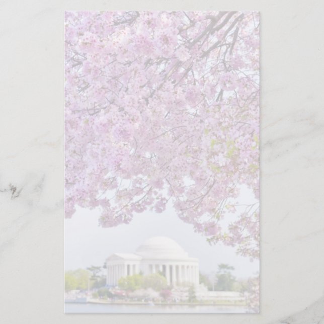 Papelaria EUA, Washington DC, árvore de cereja na flor (Frente)