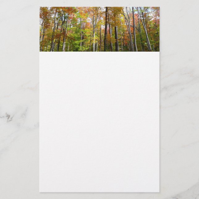 Papelaria Fall Forest I Autumn Landscape Photoshop (Frente)