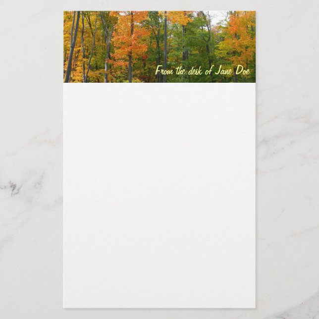Papelaria Fall Maple Trees Autumn Nature Fotografia (Frente)