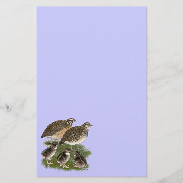 Papelaria Família de Codorniz Coturnix (Frente)