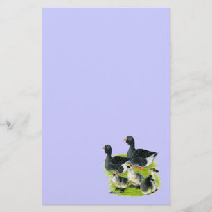 Papelaria Família Toulouse Goose