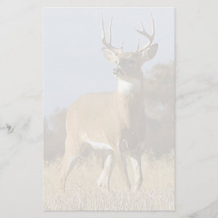 Papelaria Fanfarrão do Whitetail do outono