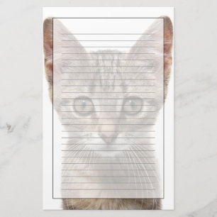 Papelaria Feche acima do retrato de um gatinho