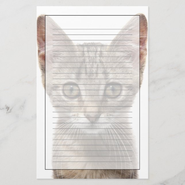 Papelaria Feche acima do retrato de um gatinho (Frente)