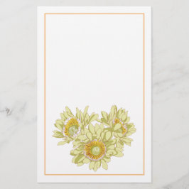 Papelaria Feliz Com Sua Carta