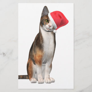 Papelaria Feliz Natal com um gato brincalhão num chapéu