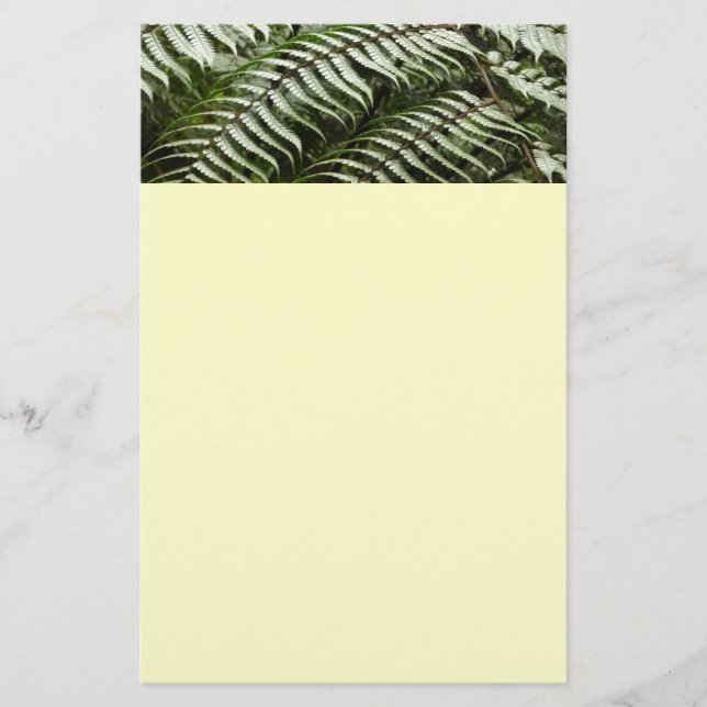 Papelaria Fern Fronds II Dark Green Nature (Frente)