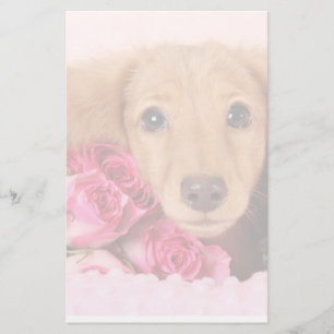 Papelaria Filhote de cachorro do Dachshund cercado por rosas