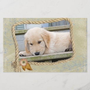 Papelaria Filhote de cachorro do país