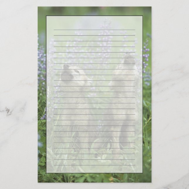 Papelaria Filhotes de cachorro de lobo que urram no prado (Frente)