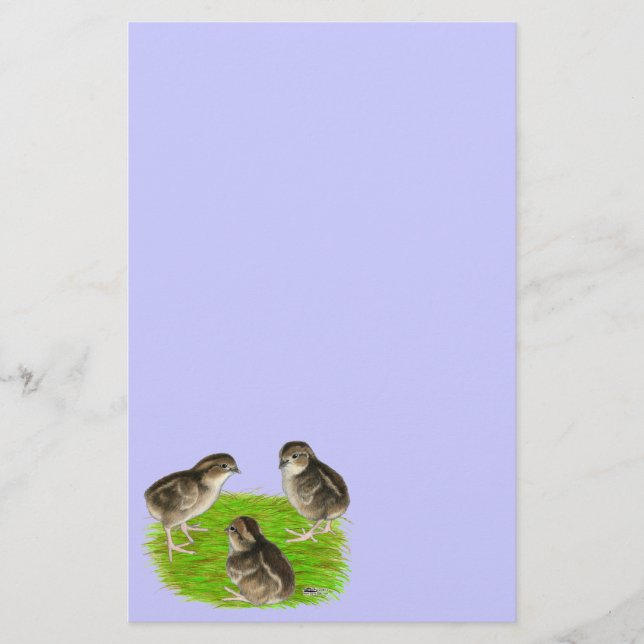 Papelaria Filhotes de Codorna Bobwhite (Frente)