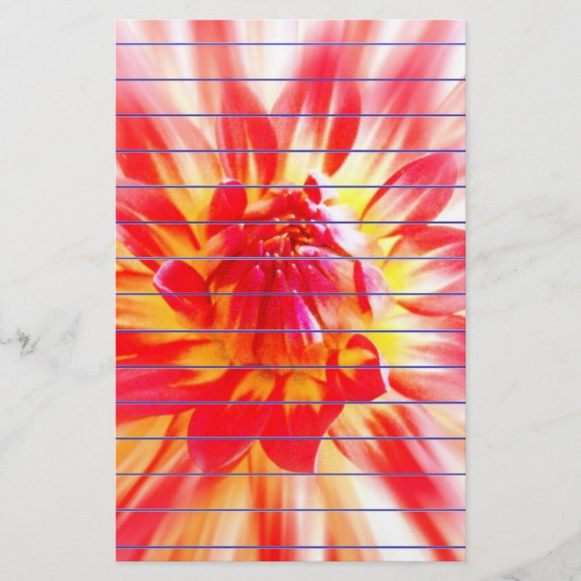 Papelaria Flor (Frente)