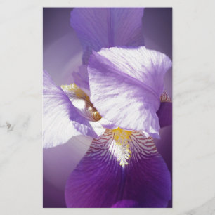 Papelaria flor da íris púrpura