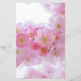 Papelaria Flor de árvore de cereja japonesa