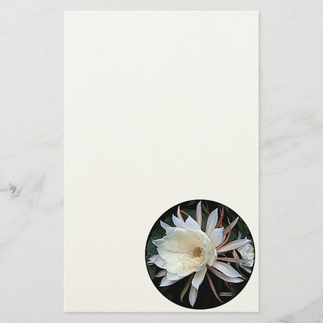 Papelaria Flor de Cacto Epífita (Frente)