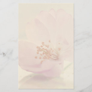 Papelaria Flor De Flor De Flor De Cerejeira, Cor-De-Rosa, De