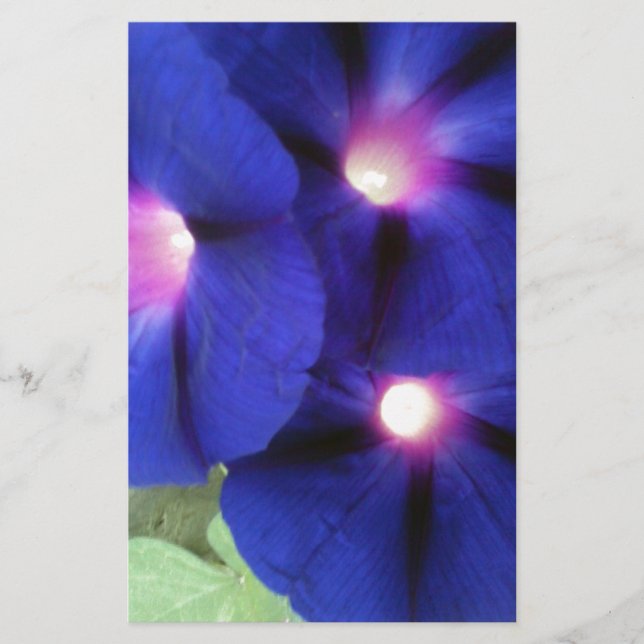 Papelaria Flor de Ipoméia Roxa (Frente)
