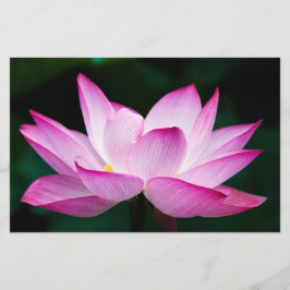 Papelaria Flor de Lotus Rosa