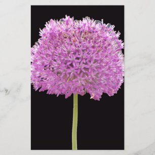 Papelaria Flor de Primavera Verão Illium - Desenho Irlandês