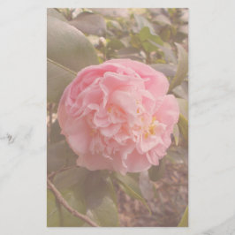 Papelaria Flor de Rosa