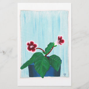 Papelaria Flor de Violeta Africana Gloxinia