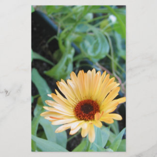 Papelaria Flor em Folhas Dois