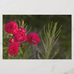 Papelaria Flor rosa