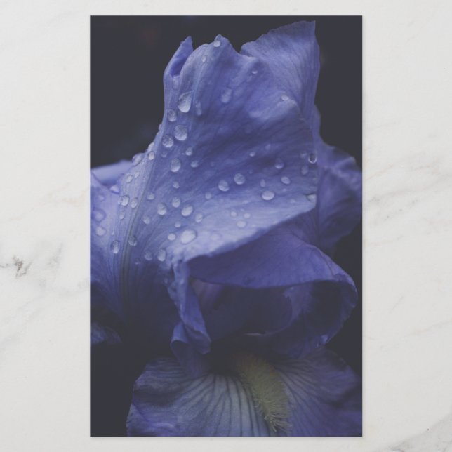 Papelaria Flor Rosa púrpura (Frente)